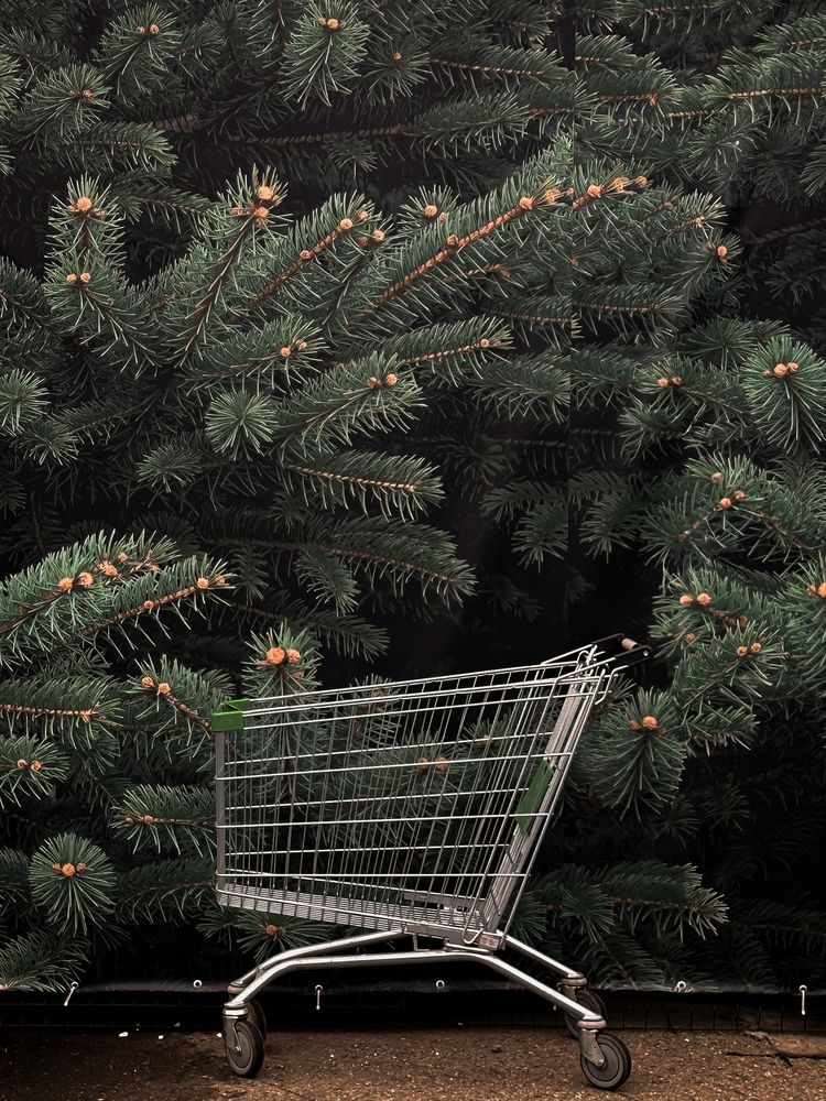 Photograph by Екатерина Анпилова