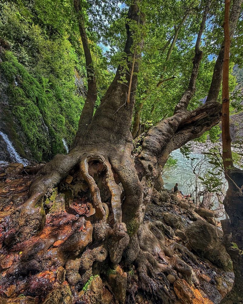 Photograph by Shahrzad Kadkhodaei