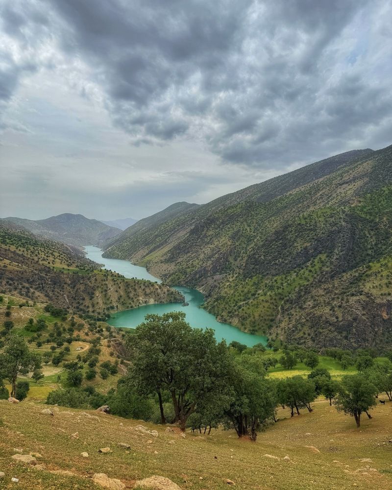 Photograph by Shahrzad Kadkhodaei