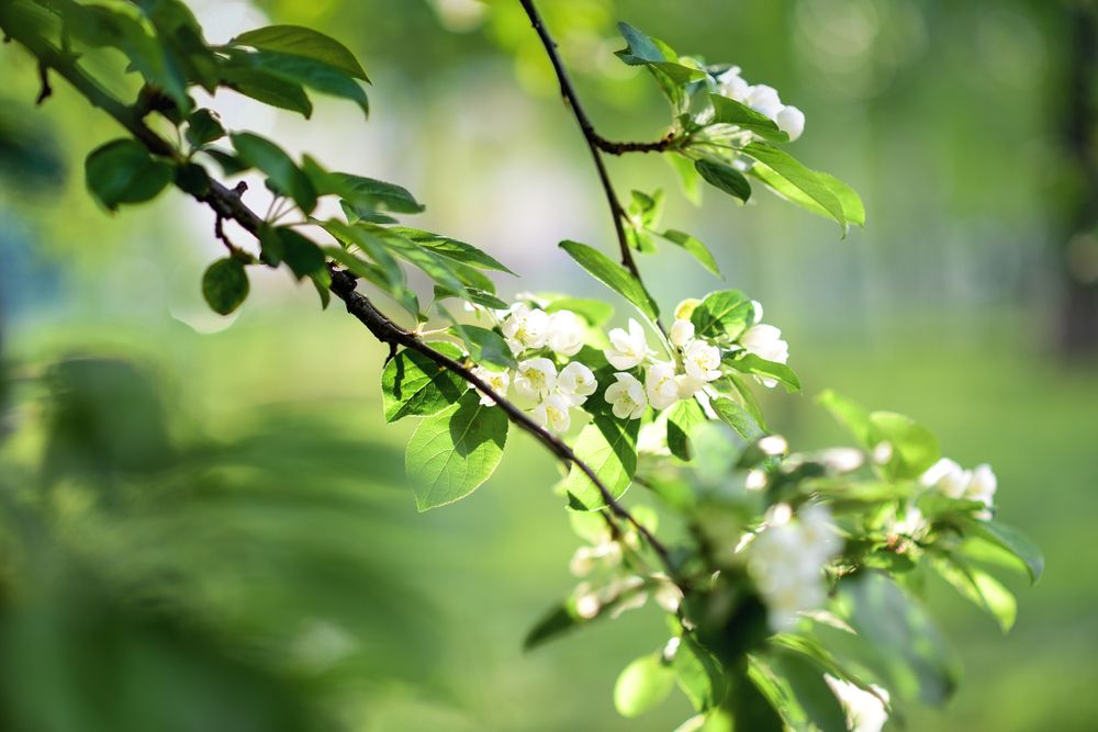 Photograph by Ирина Ященко
