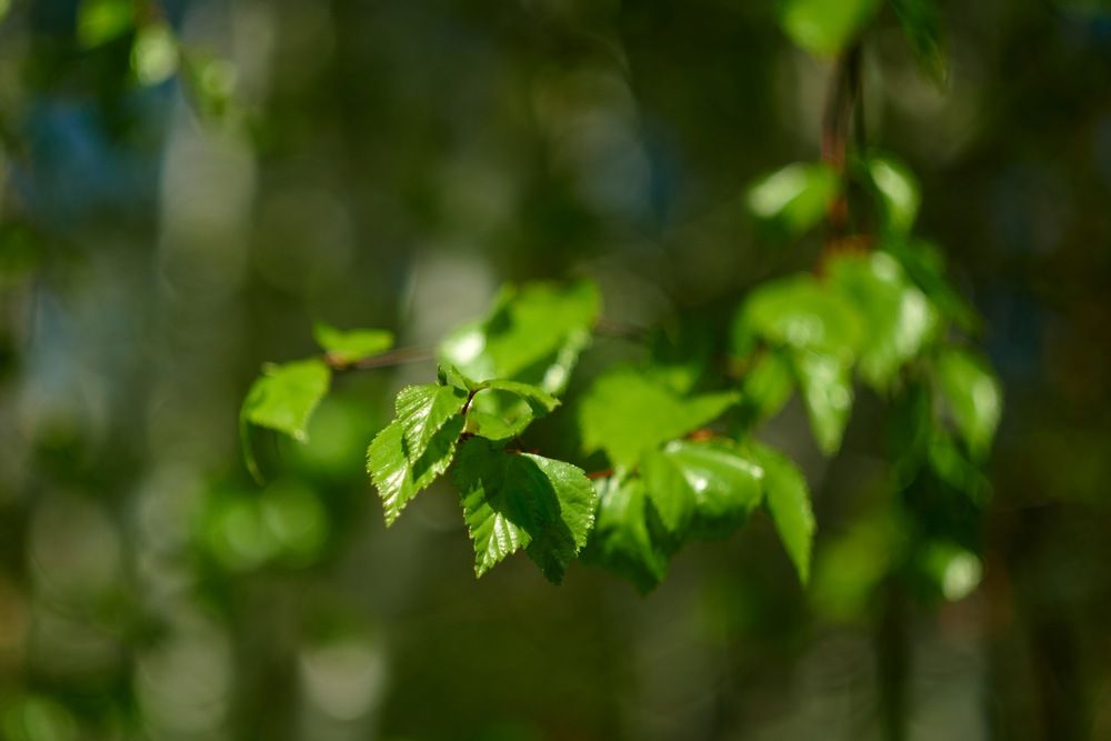 Photograph by Сергей Анисимов