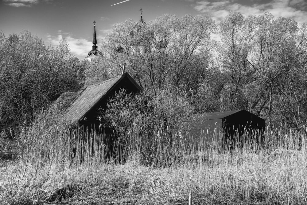 Photo #13589543