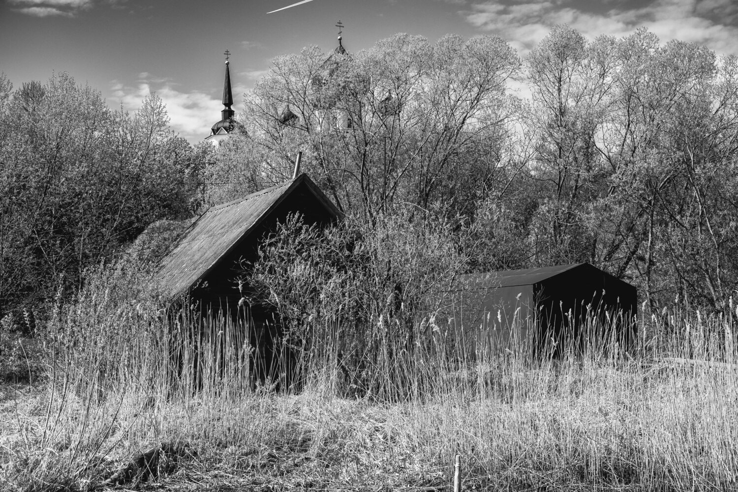 Photo #13589543