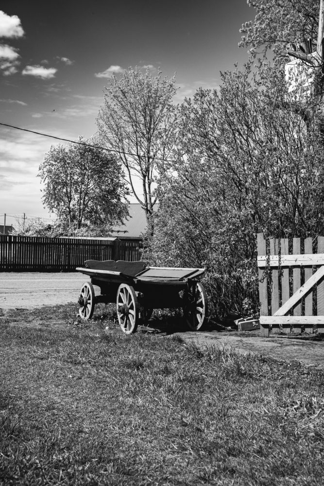 Photo #13589561
