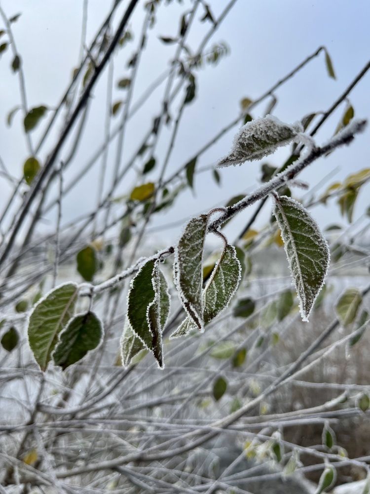 Photograph by Ольга Миронова