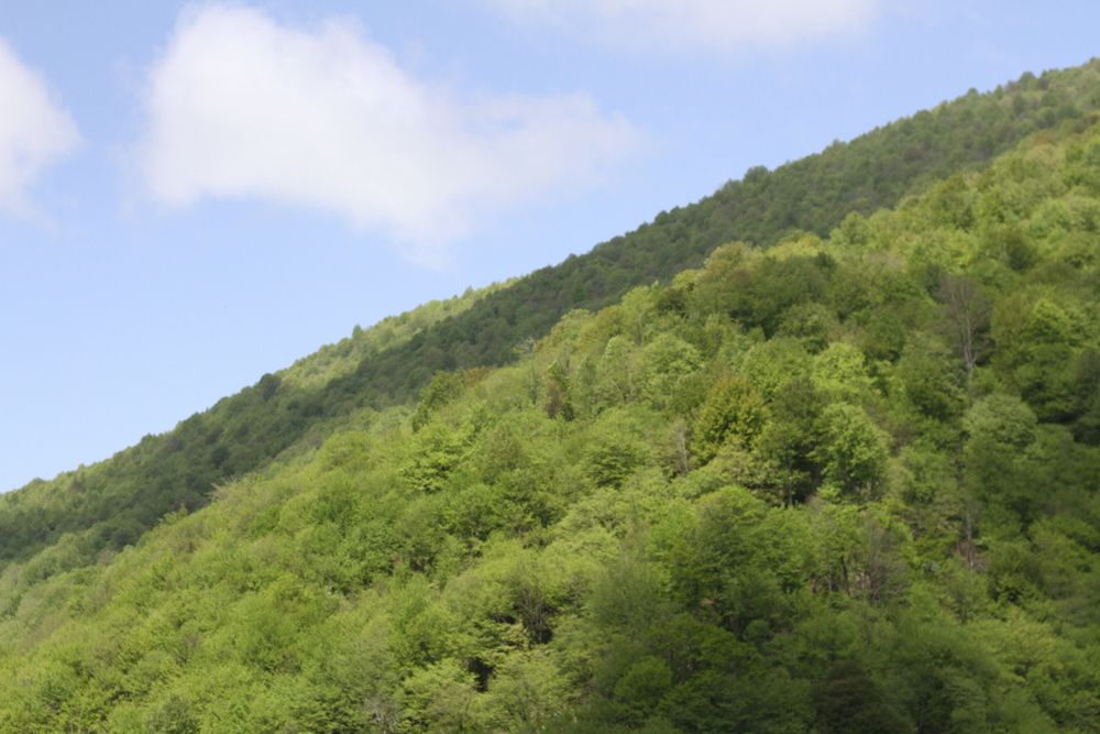 Photograph by Елена Наумова