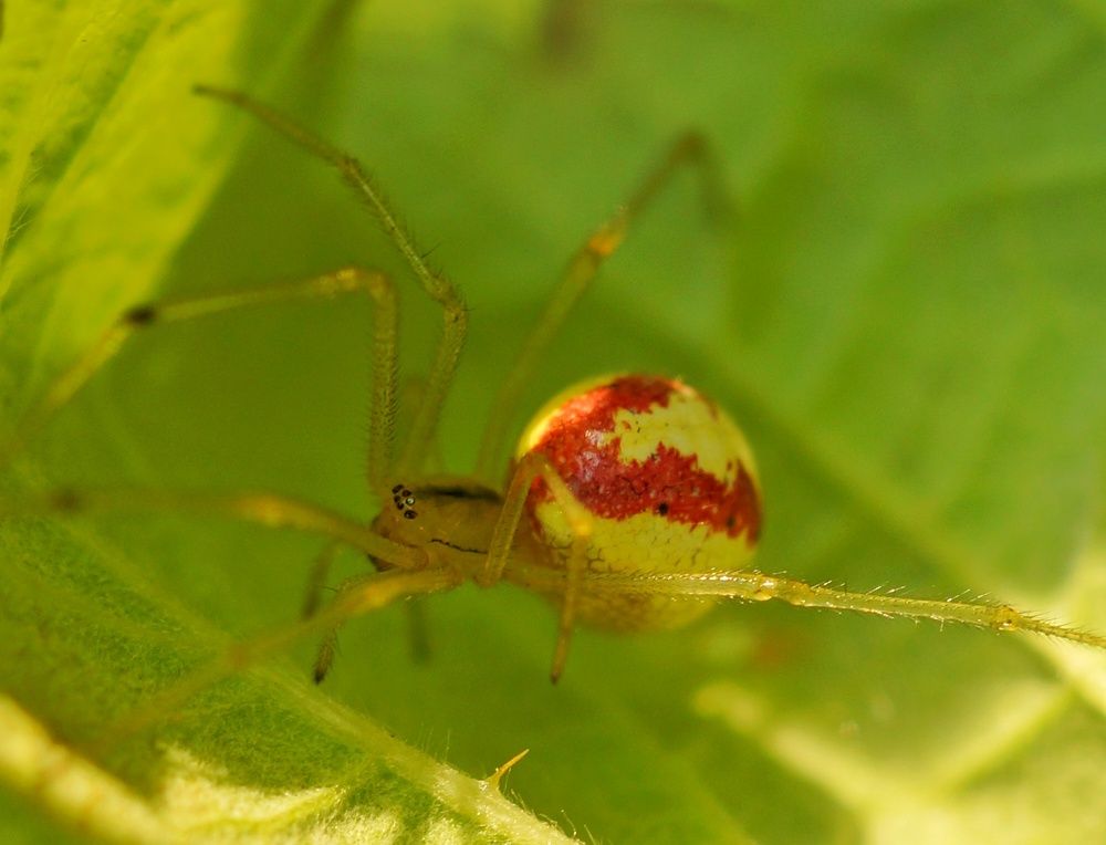 Photograph by Дмитрий Сорокин
