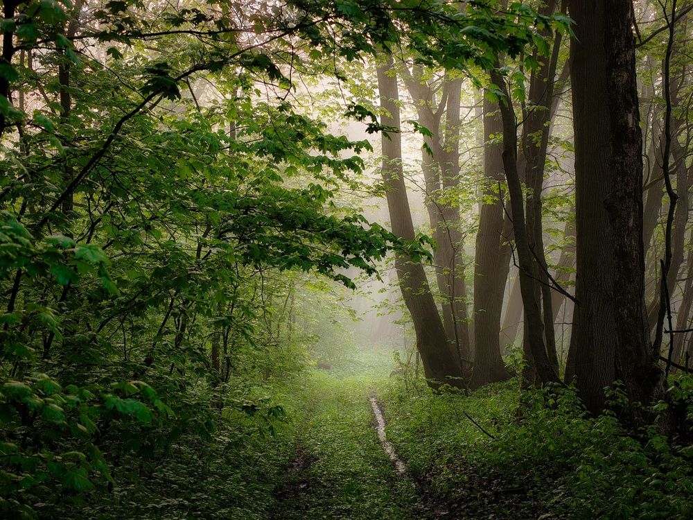 Photograph by Кондрашова Светлана