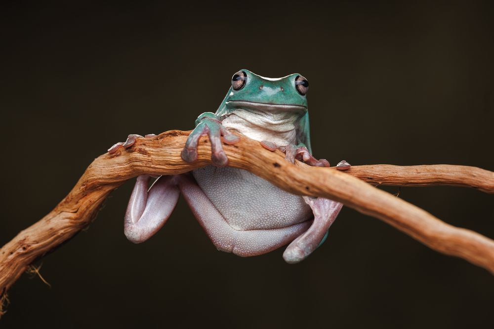 Photograph by Яна Нарбутович