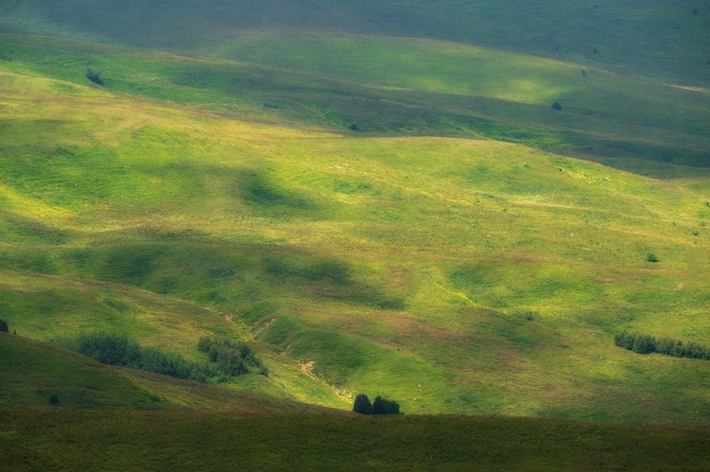 Photograph by Сергей Тихомиров