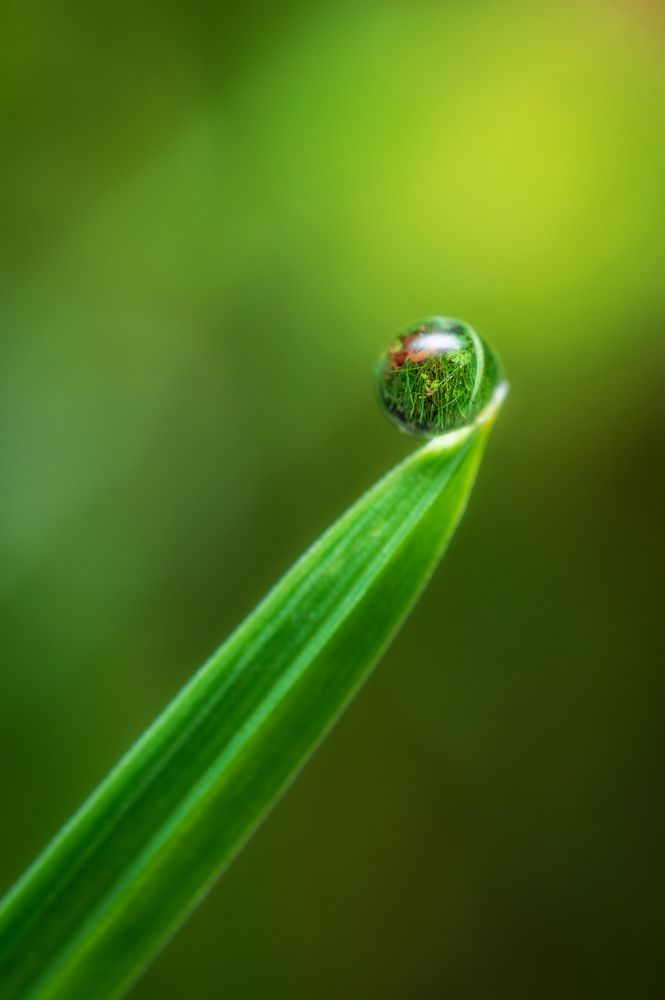 Photograph by Сергей Тихомиров
