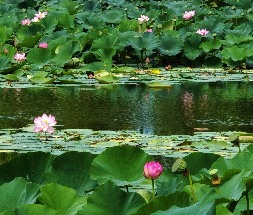 Photograph by Ден Сук Пак