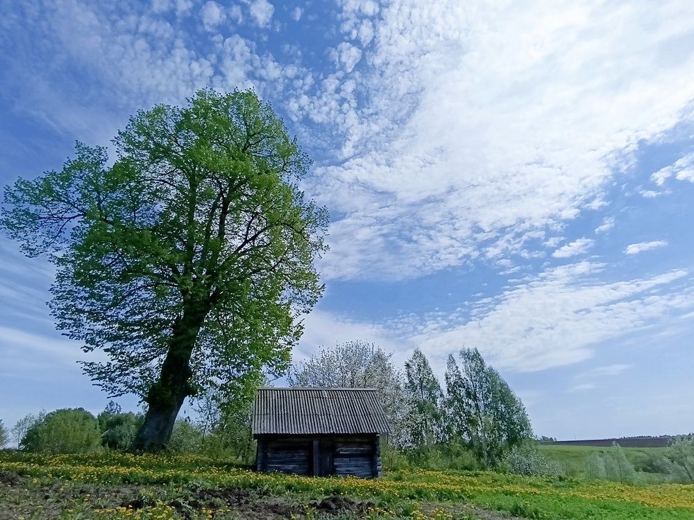 Фотография автора Юрий Гордеев