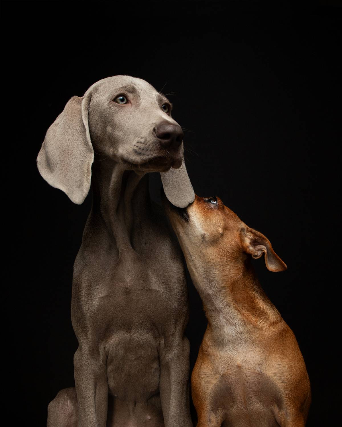 Whisper
