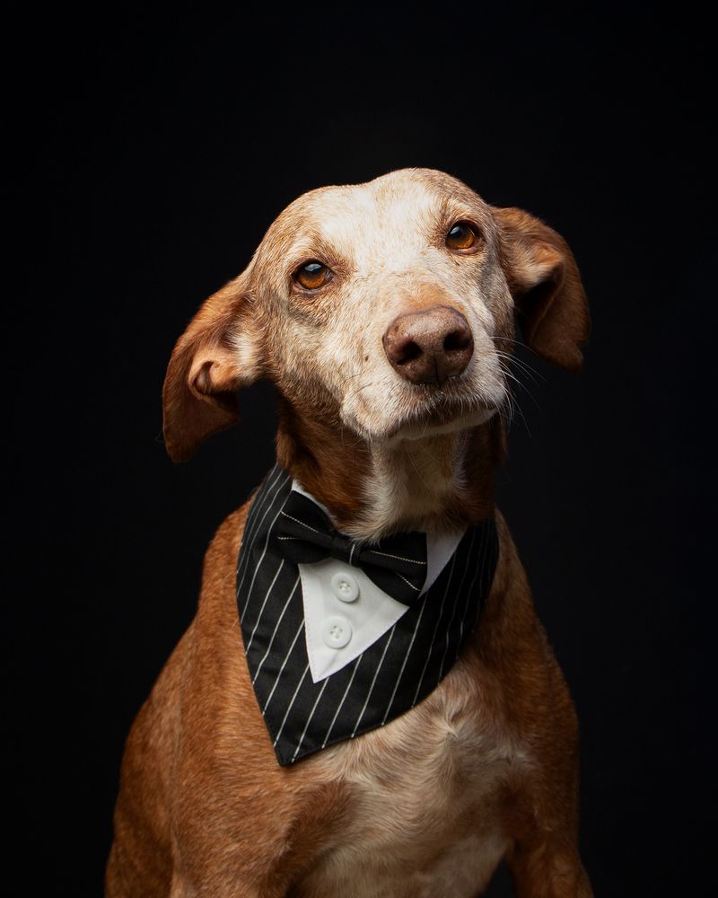 Dressed in Hope