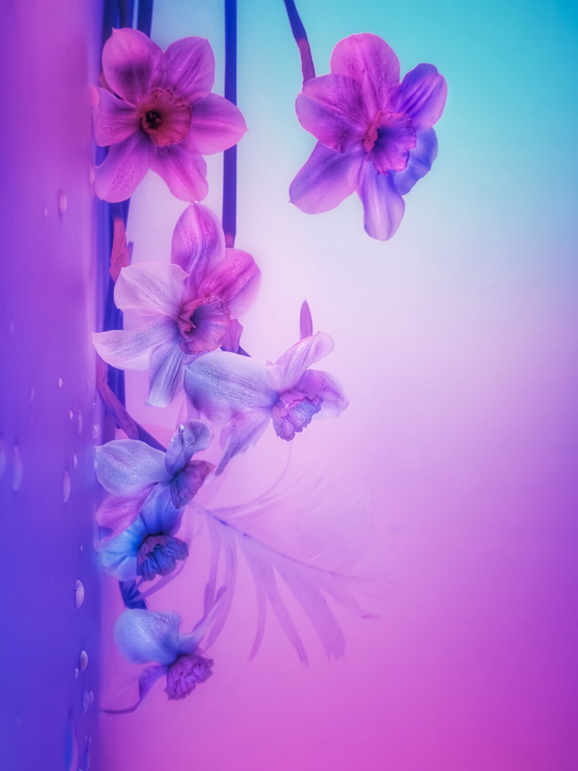 Photo #13590004