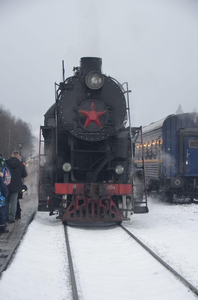Photo #13590049