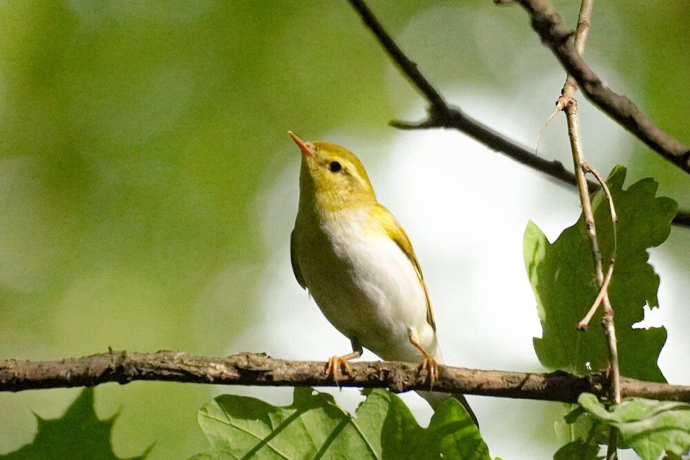 Photograph by Алфия Бугакова
