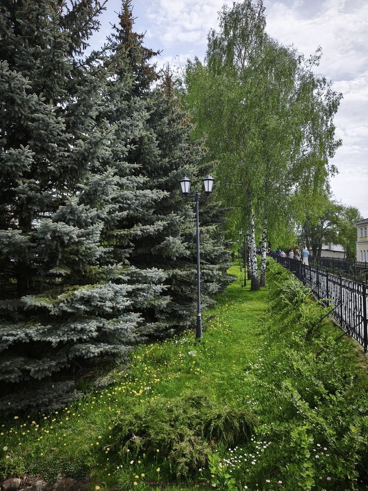 Photograph by Олеся Хижко