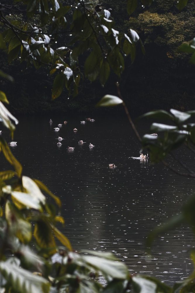 Photograph by Hyeonmu He