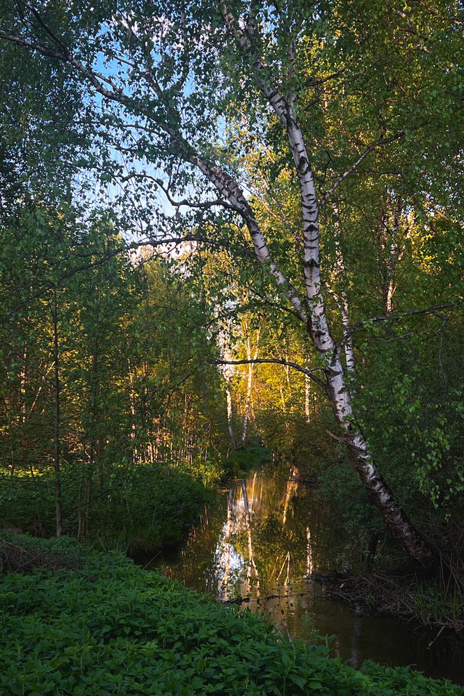Photograph by Игорь Толкачев