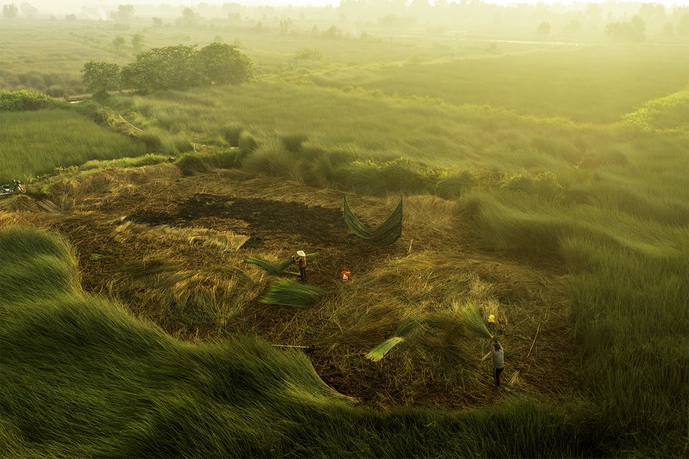 Photograph by Minh Nguyen