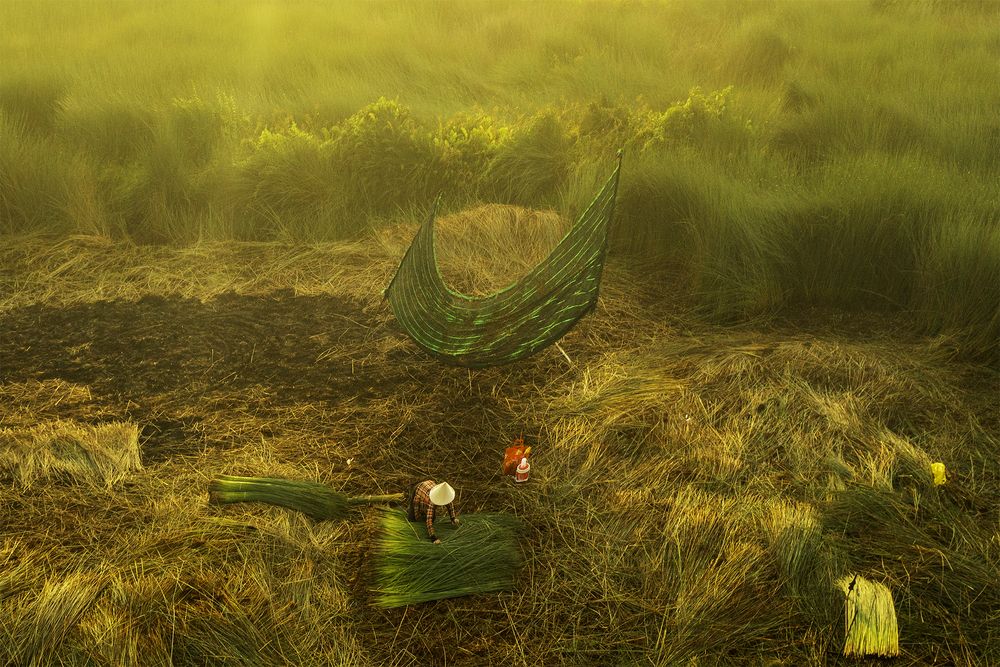 Photograph by Minh Nguyen