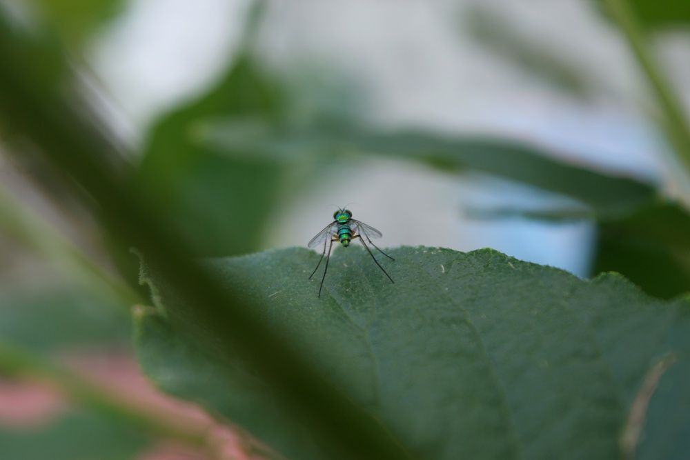 Photograph by Sheuli Akther