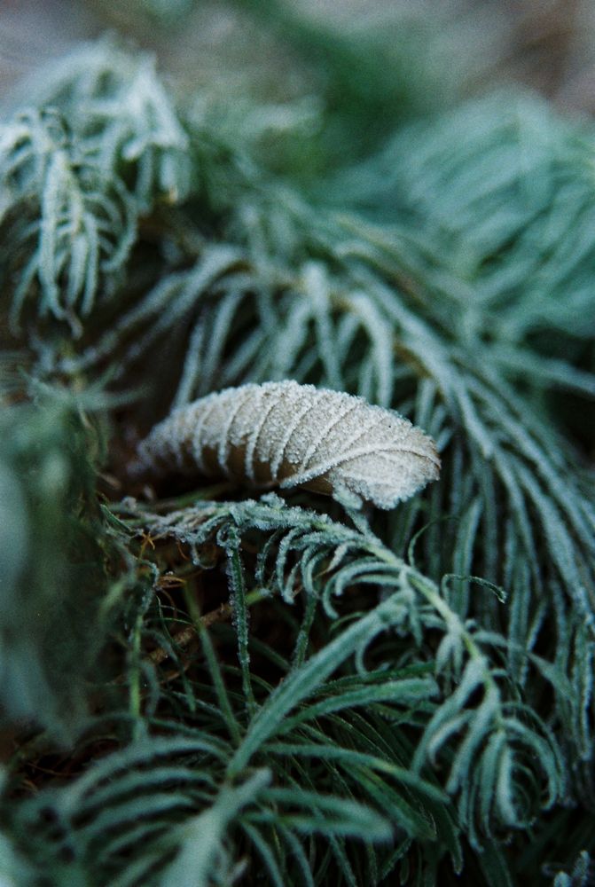 Photograph by Сергей Данилов