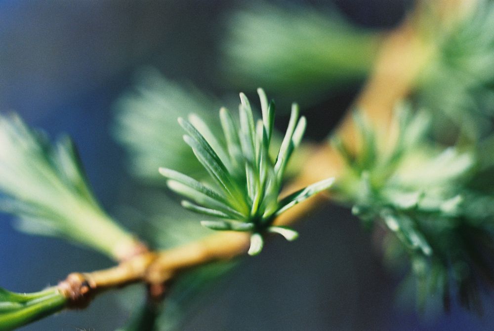 Photograph by Сергей Данилов