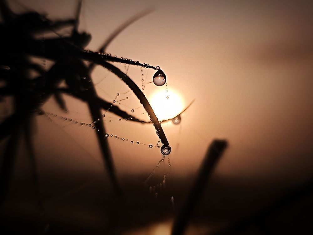Photograph by Dilip kumar J Jdk