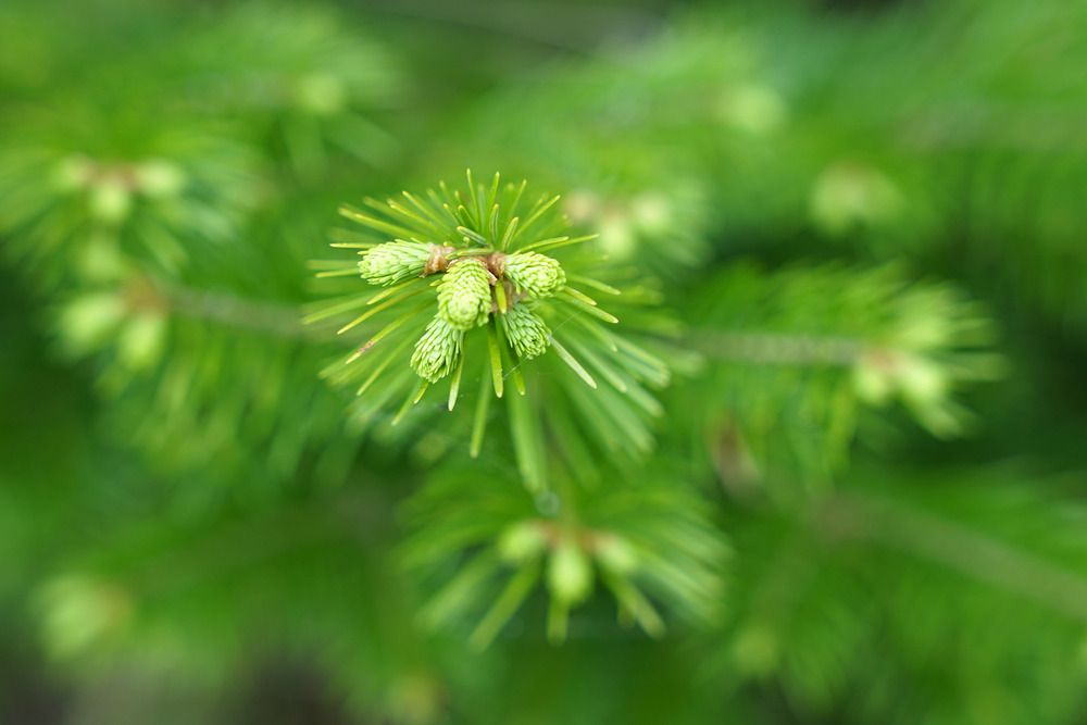 Photograph by Марина Виноградова
