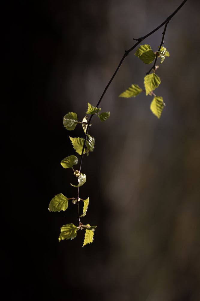 Photograph by Юлия Куликова