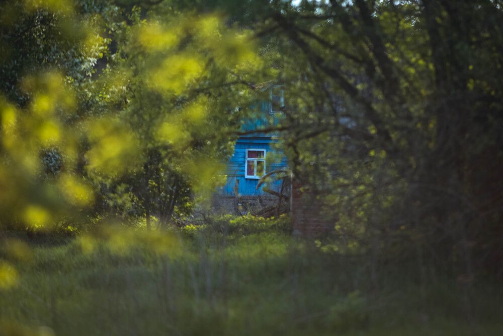 Photo #13590507