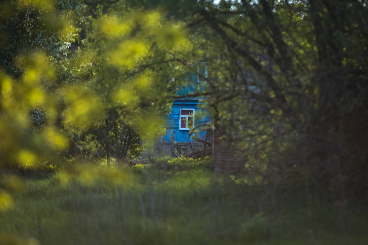 Photo #13590507