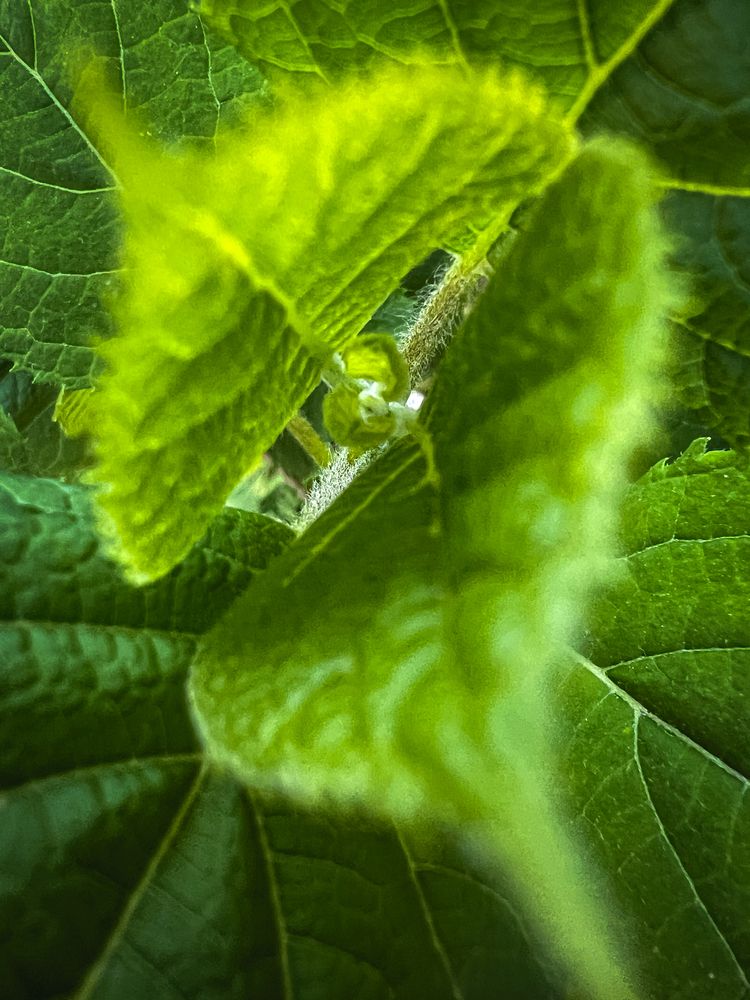 Photograph by Игорь Толкачев