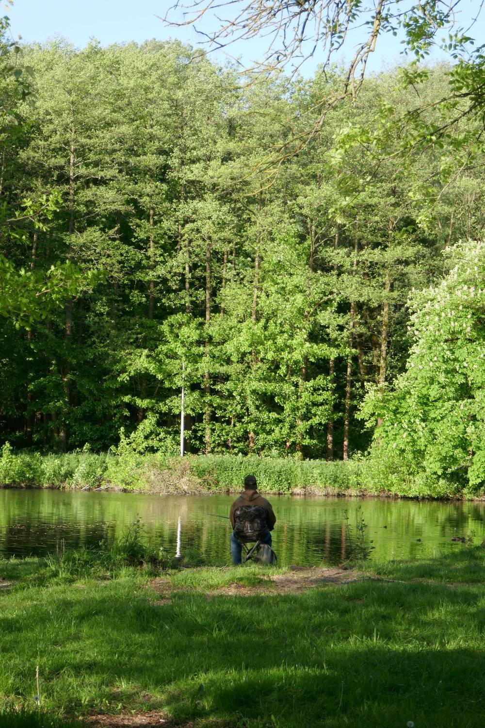 Photo #13590544