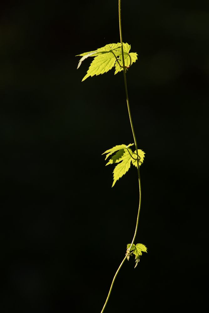 Photograph by Юлия Куликова