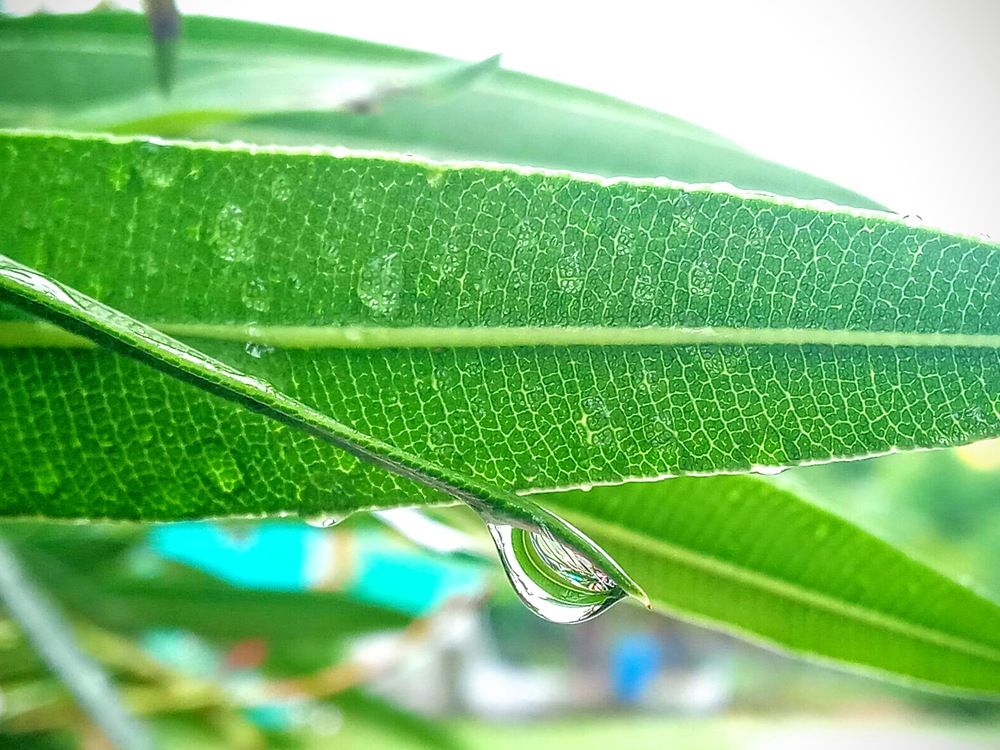 Photograph by Dilip kumar J Jdk