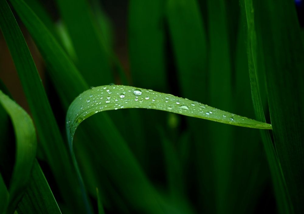 Photograph by Галина Искандарова