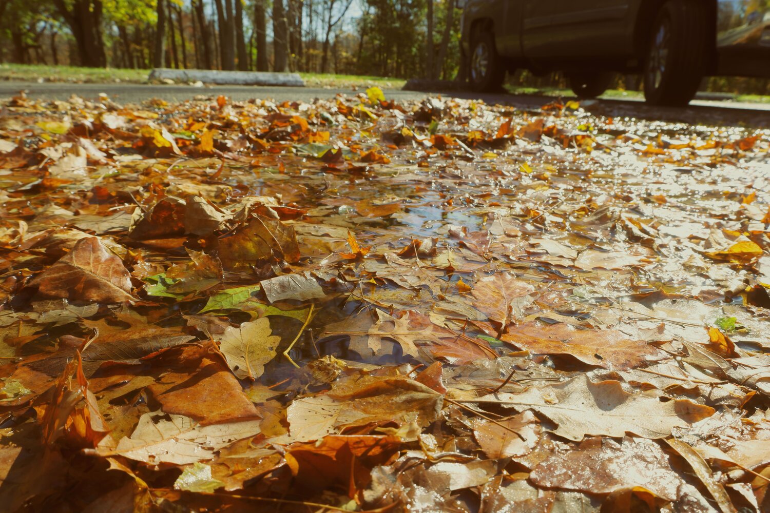 Photo #13590684