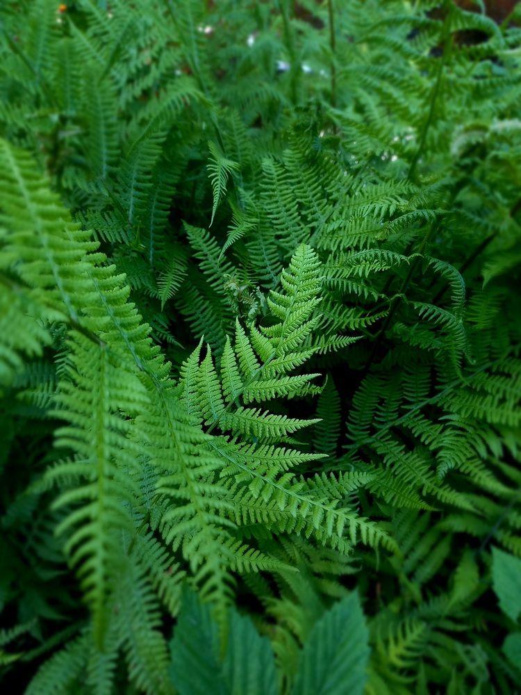Photograph by Людмила Сотникова