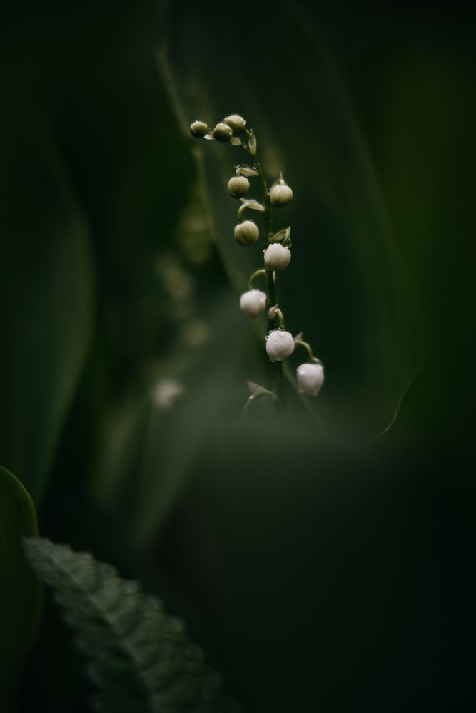 Photograph by Катя Лобанова