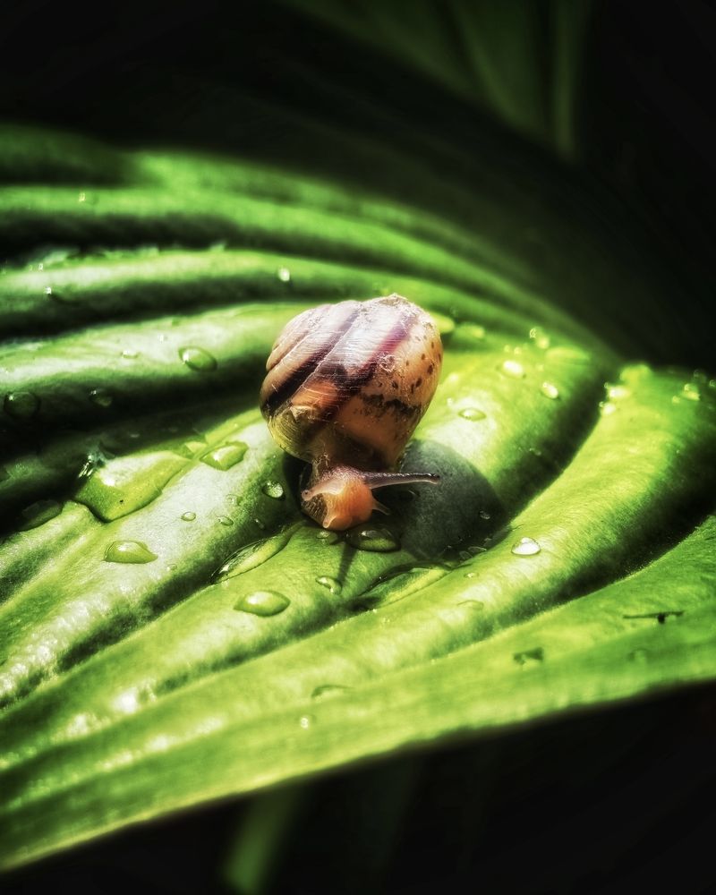 Photograph by Владимир Ли