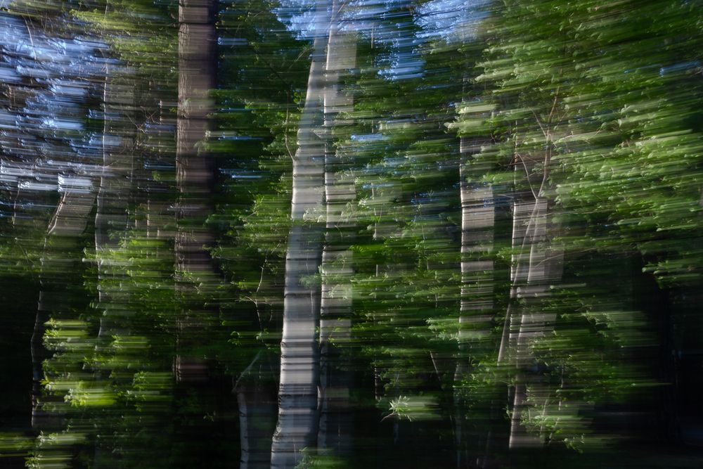 Photograph by Наталья Плотникова