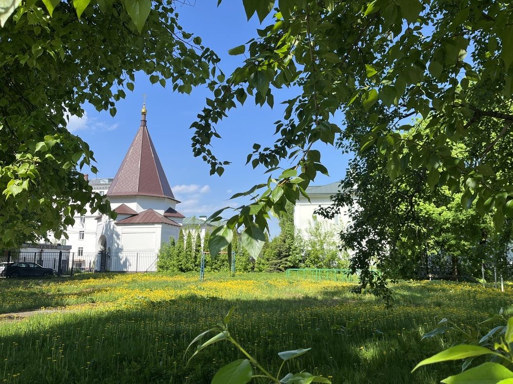 Photograph by Елена Вешнякова