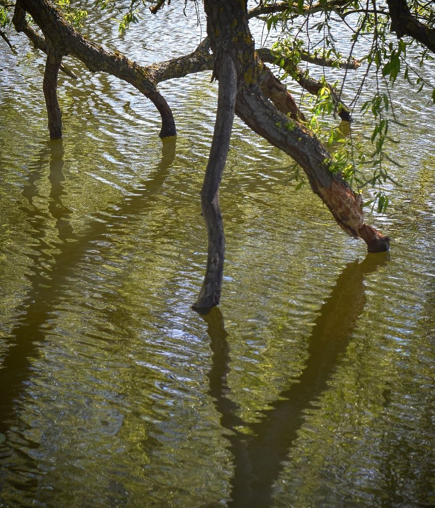 Photograph by Aleksandra Bistrova