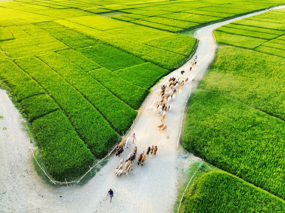 Photograph by Sohel Rana