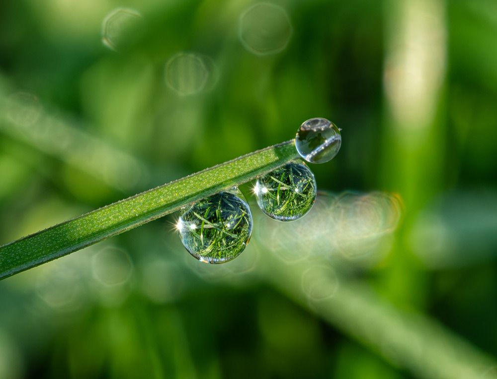 Photograph by Елена Харитонова