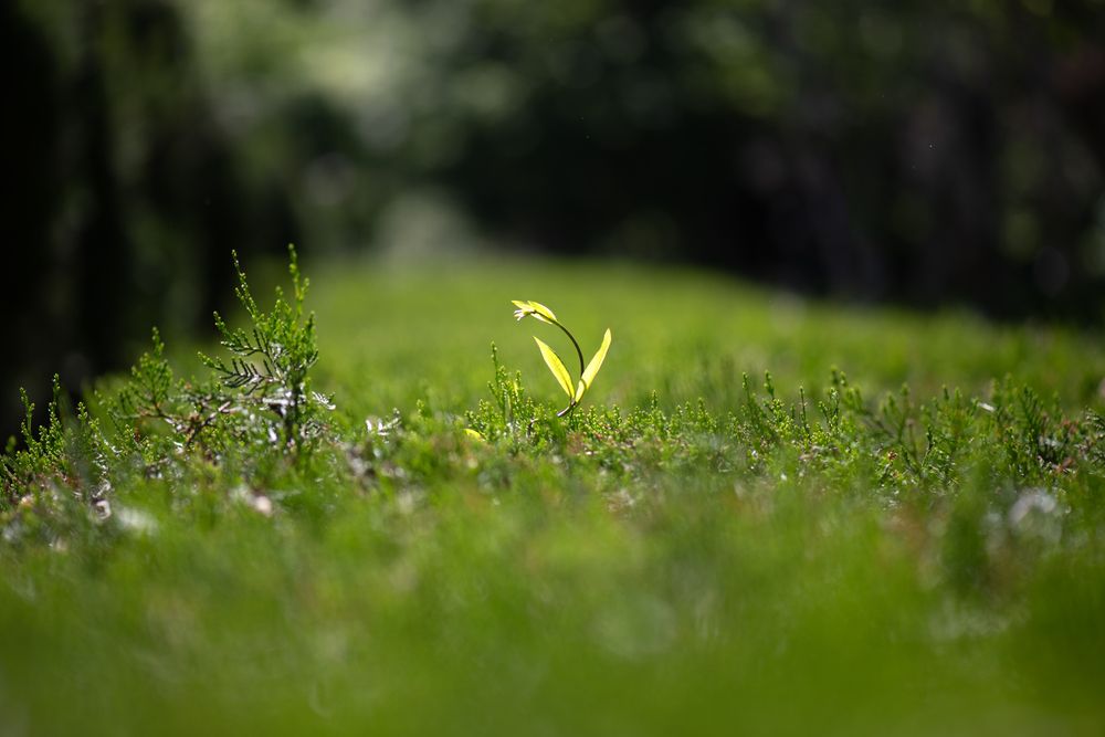Photograph by Olga Lyubochkina